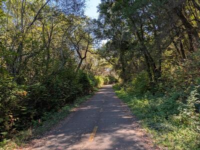 Biking 1