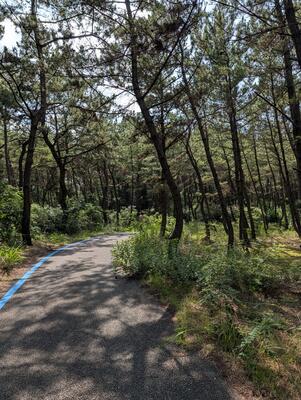Biking at Uminonakamichi Park 3