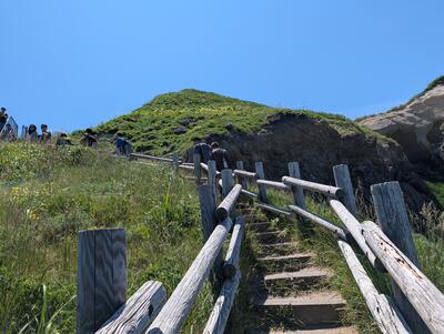 Cape Kamui hike