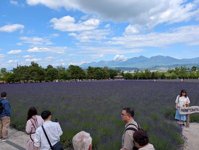 Farm Tomita