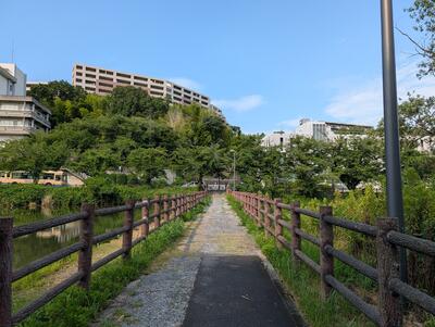 Osaka University