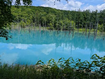 Shirogane Blue Pond