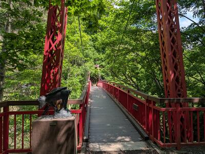 Suspension bridge